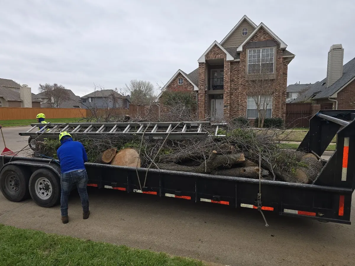 Expert Lot Clearing with proper safety equipment in Fishers